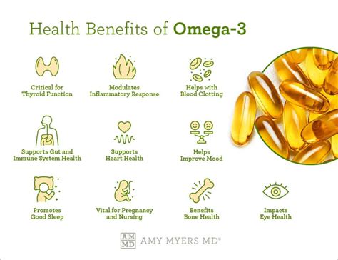 omega 3 for sperm|omega 3 effect on testosterone.